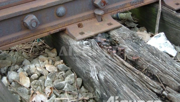 Trituradora de Madera Resistente para Traviesas de Ferrocarril de Madera