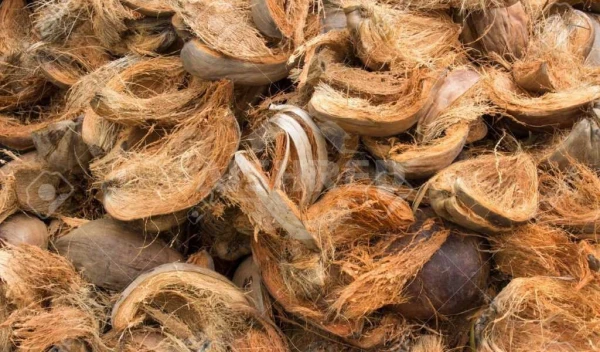 Par de la máquina trituradora de cáscara de coco